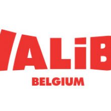 *** Walibi ***